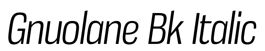 Gnuolane Bk Italic cкачати шрифт безкоштовно